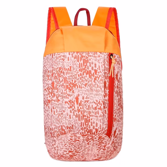 Benutzerdefinierte Mode Student Reise Laptop Rucksack Teenager Freizeit leichte Tasche